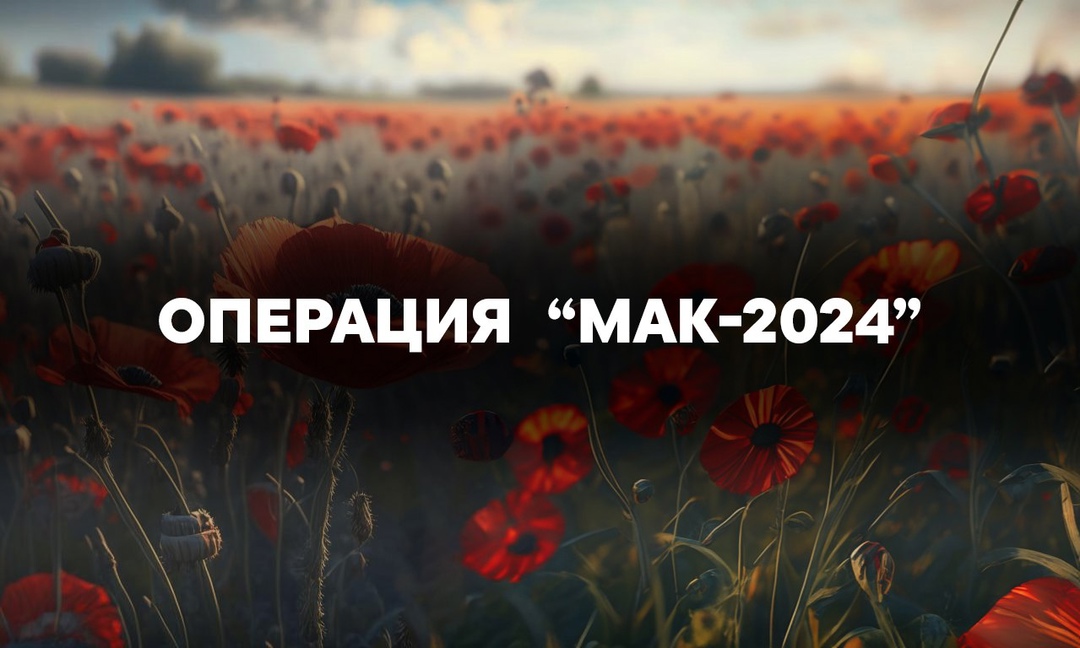 С 19 по 28 августа на территории Саратовской области проводится третий этап межведомственной комплексной оперативно-профилактической операции «Мак - 2024».