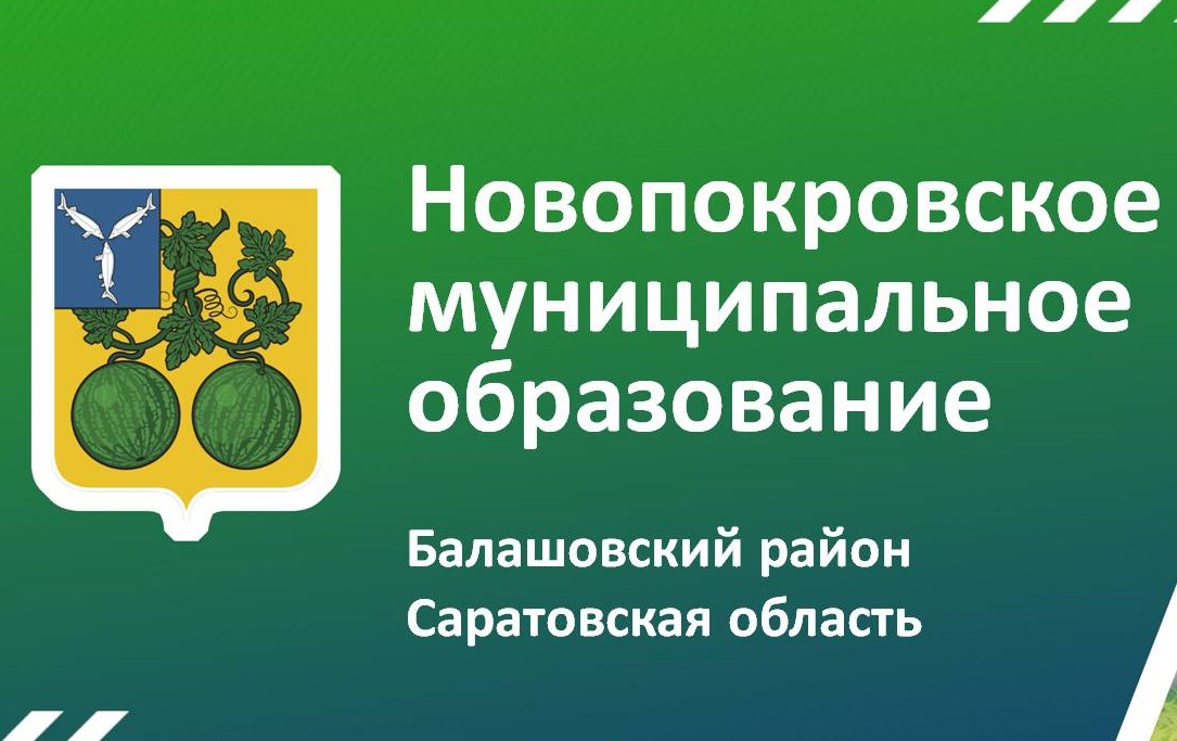 Глава Новопокровского муниципального образования Балашовского муниципального района провёл встречу с жителями поселка Александровский.