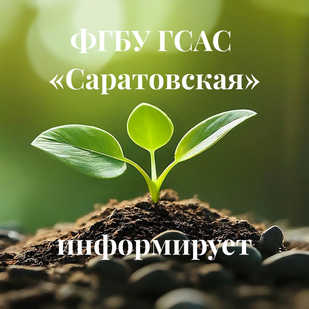 ФГБУ ГСАС «Саратовская» информирует.