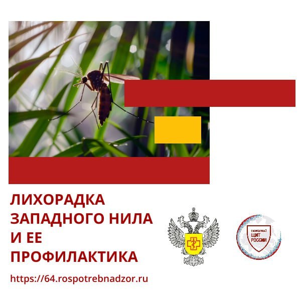 О мерах профилактики лихорадки Западного Нила.