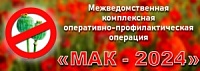 С 24 июня по 3 июля на территории Саратовской области проводится первый этап межведомственной комплексной оперативно-профилактической операции «Мак - 2024».