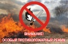 Уважаемые балашовцы! На территории региона действует особый противопожарный режим!.