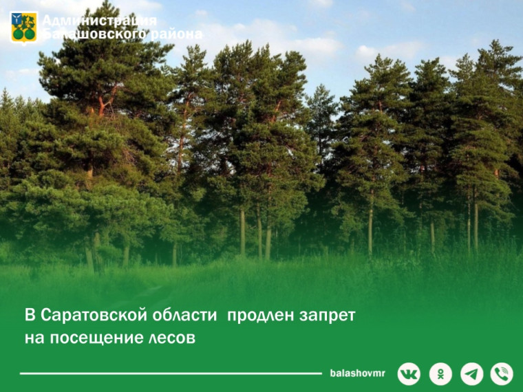 В Саратовской области продлили запрет на посещение лесов. В Саратовской области продлили запрет на посещение лесов.