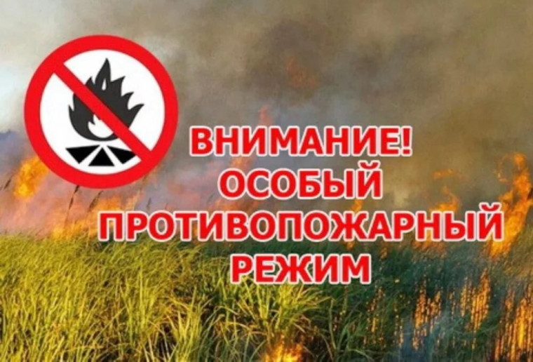 Уважаемые жители города Балашова и Балашовского района!. Уважаемые жители города Балашова и Балашовского района!.