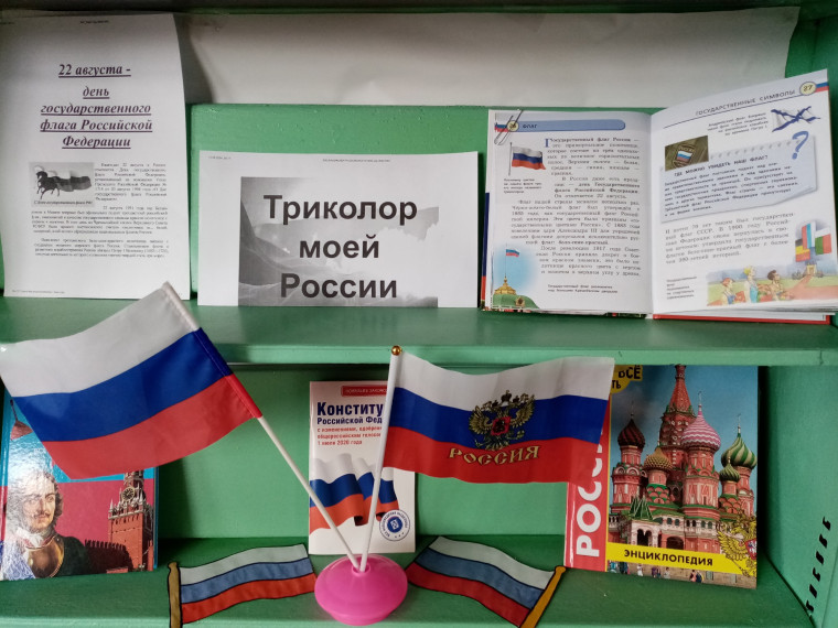 В преддверии празднования Дня государственного флага оформлена информационная выставка «Триколор моей России» в библиотеке села Заречное. В преддверии празднования Дня государственного флага оформлена информационная выставка «Триколор моей России» в библиотеке села Заречное.