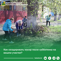Куда складировать мусор после субботника на вашем участке?. Куда складировать мусор после субботника на вашем участке?.