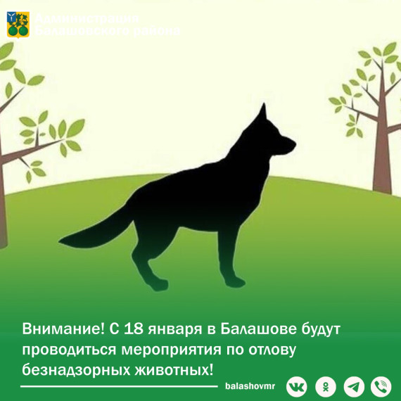 Внимание! С 18 января 2024 года в Балашове будут проводиться мероприятия по отлову безнадзорных животных. Внимание! С 18 января 2024 года в Балашове будут проводиться мероприятия по отлову безнадзорных животных.